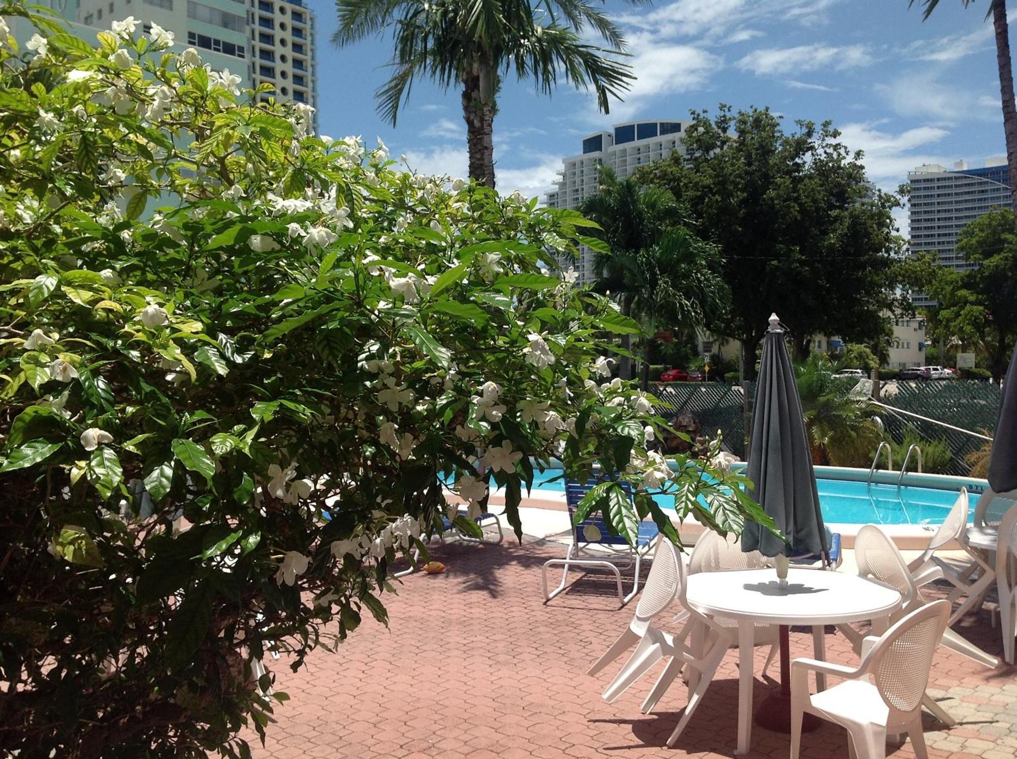 Birch Patio Motel Fort Lauderdale Exterior photo