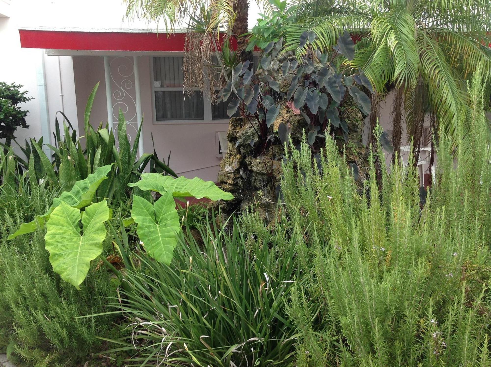 Birch Patio Motel Fort Lauderdale Exterior photo